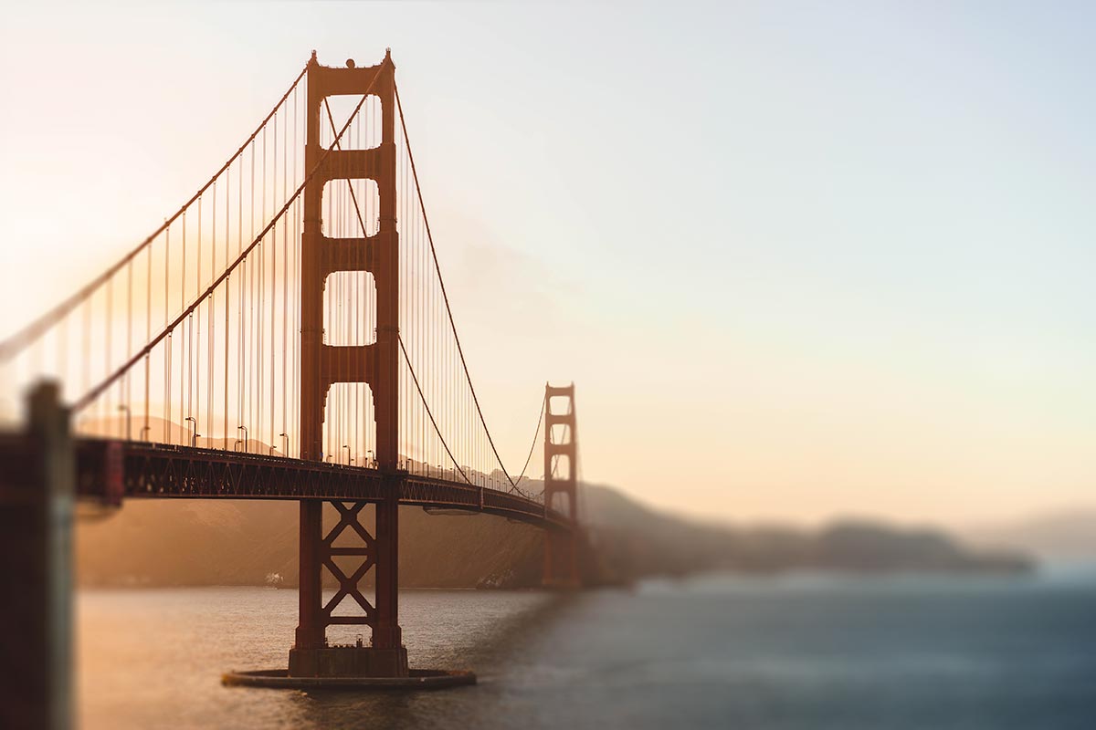 What Does It Mean When a Cat Squints at You?