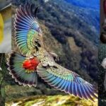 Beautiful, Funny and Some Weird Photos of Animals – Part 01