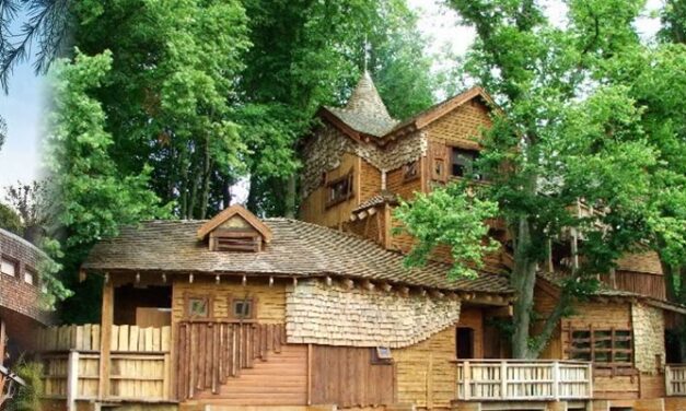 Architecture Cleverly Embraces Nature