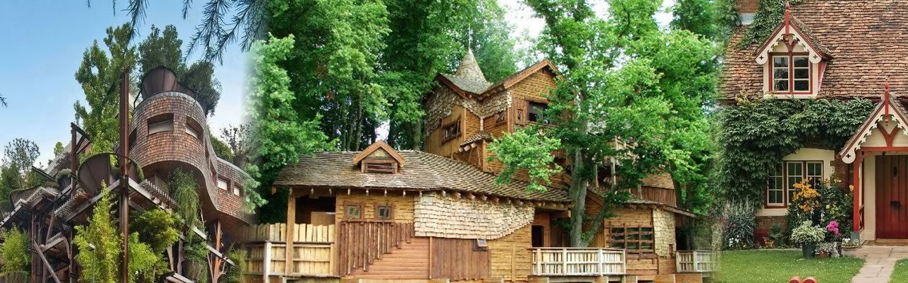 Architecture Cleverly Embraces Nature