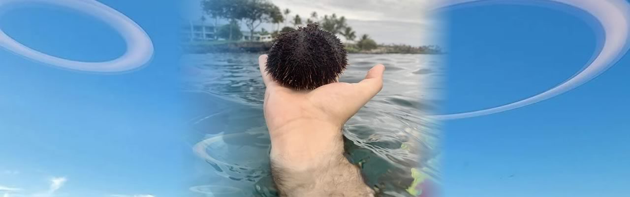 Some very counfusing photos you have to look twice to understand – Confusing perspective