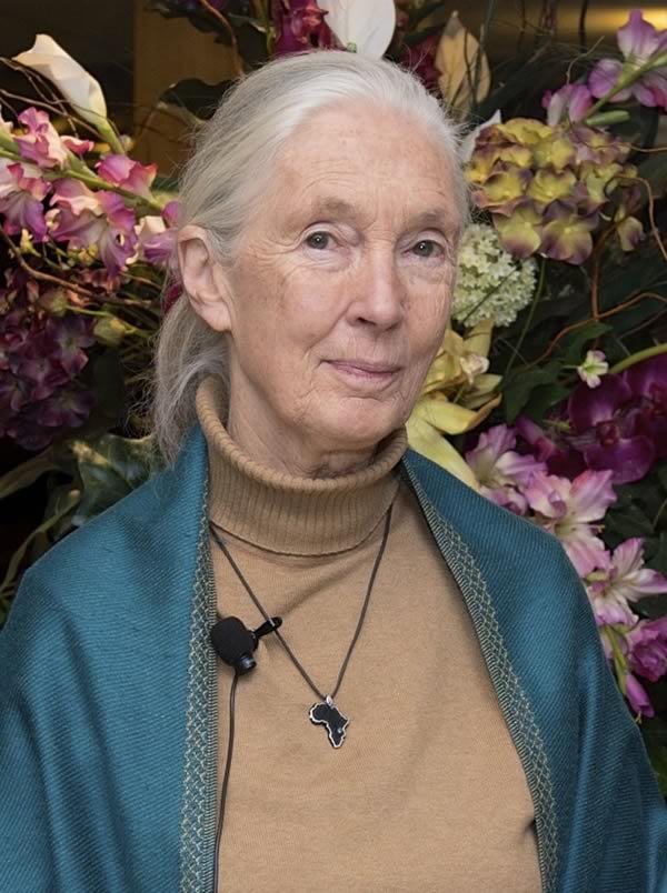 Dr. Jane Goodall