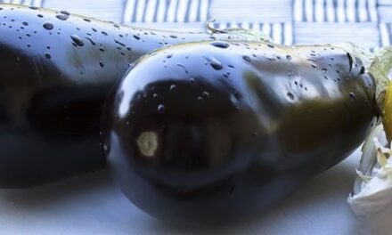 Why Eggplant is called Eggplant?