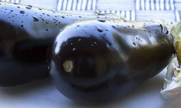 Why Eggplant is called Eggplant?